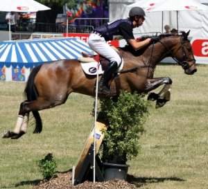 14643_354516905186_7823045_n